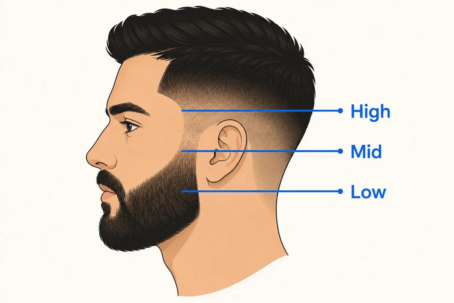 Side profile vector diagram showing Low, Mid, and High beard taper start lines across the cheek and sideburn area, illustrating where each taper style begins on the face.