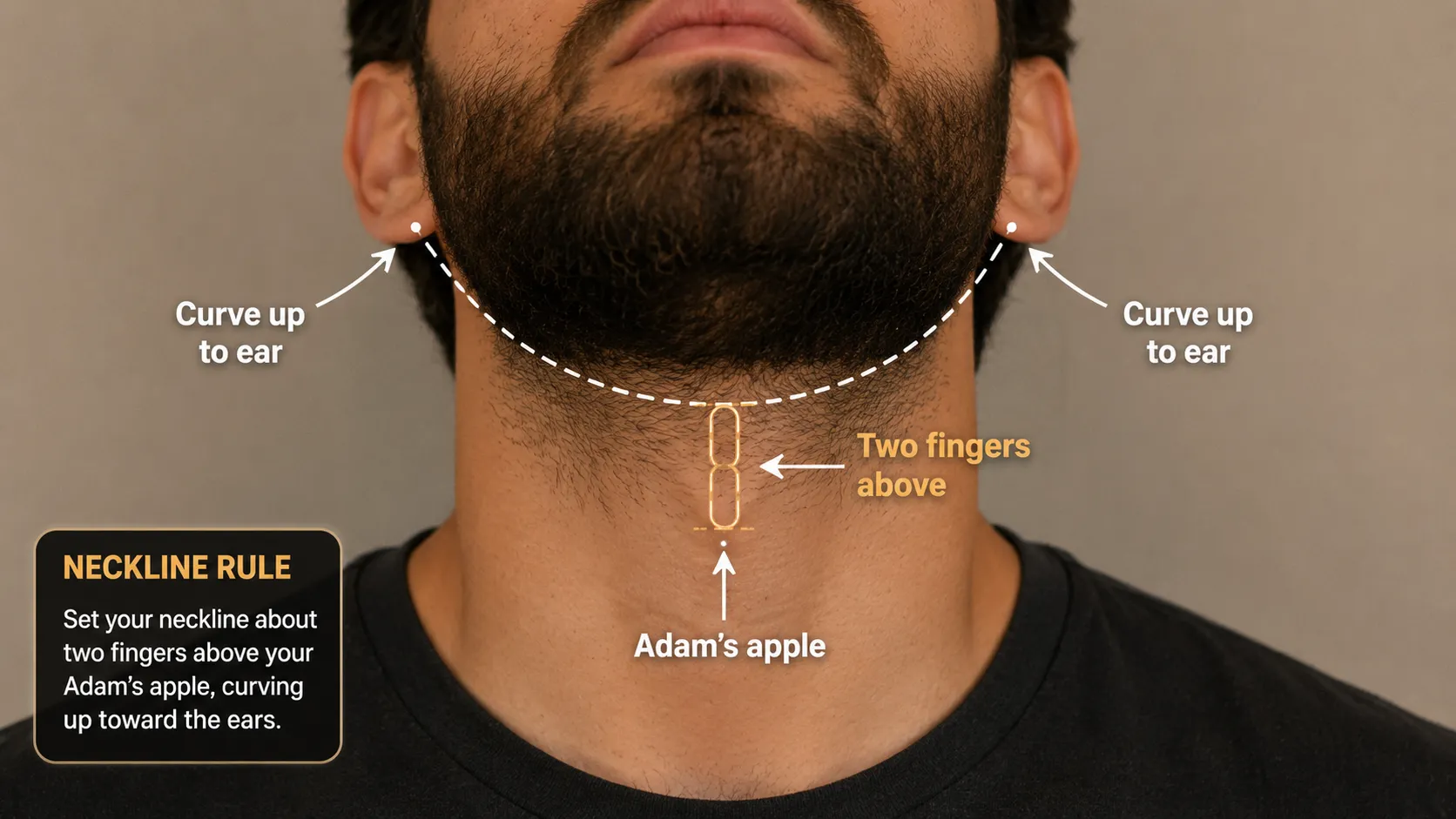 Annotated beard neckline guide showing the correct trim line two fingers above the Adam's apple, curving toward the ears for a clean, natural beard shape.