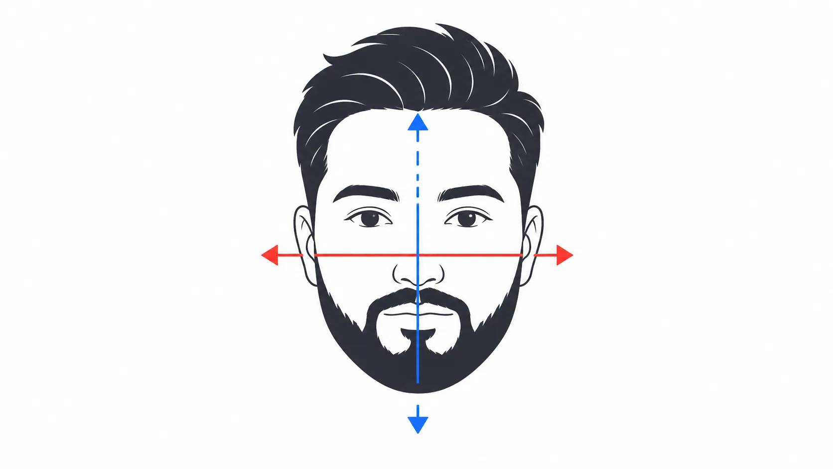 Minimal vector diagram of a round face with vertical arrows indicating added length and horizontal arrows showing width, illustrating beard shaping principles for round faces.